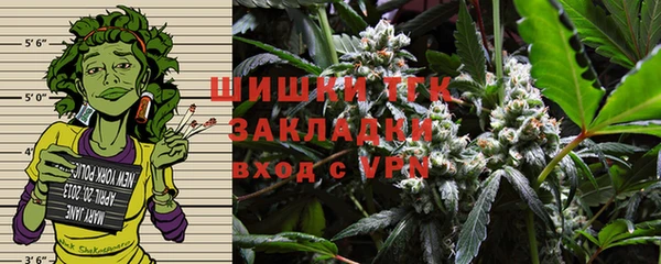 крисы Каменка