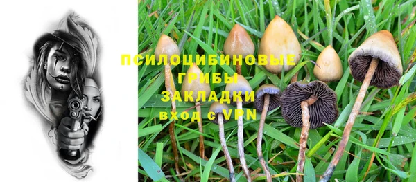 мдпв Семикаракорск