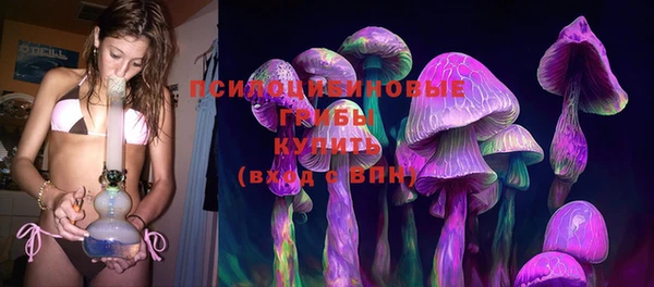 твердый Армянск