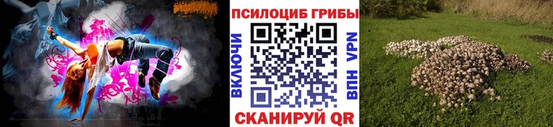 даркнет официальный сайт  Суровикино  Псилоцибиновые грибы Magic Shrooms 